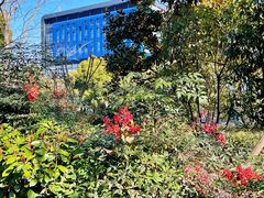 -金桥现代产业园区-停车场