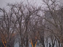 -龙美术馆(西岸馆)