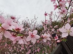 -仙海旅游度假区