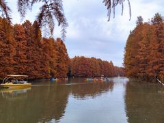 -上海海湾国家森林公园