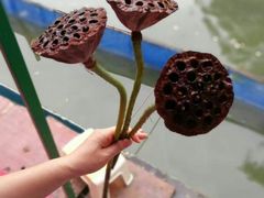 -白塘生态植物园