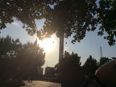 -朝阳公园游乐园