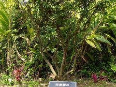 -厦门悦华酒店