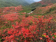 -大围山国家森林公园