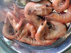 蒸沙虾-贺富酒家(白藤二路分店)