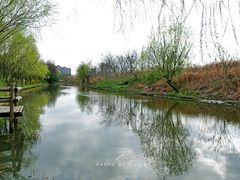 -新江湾城公园