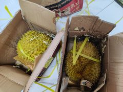 -曼阁市场水果批发市场
