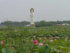 -白洋淀景区