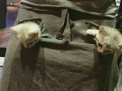 -MIKAKU(万达广场上海宝山店)