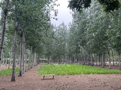 -老君堂公园