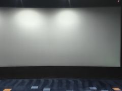 -华联影城(蒙城路店)