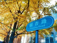 -辽宁大学(崇山校区)