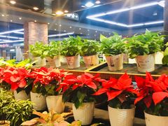 -果蔬好生活超市(乐堤港店)