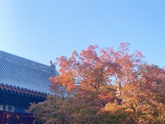 -香山公园