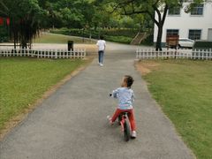 -南宁良凤江国家森林公园