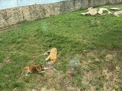 -西安秦岭野生动物园