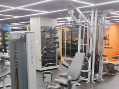 -健身专家Wellness Experts