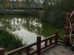 -燕郊植物园