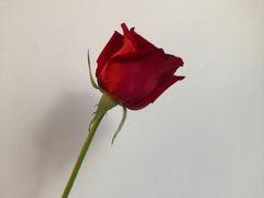 -海底捞火锅(关山保利店)