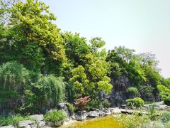 -吴淞炮台湾湿地森林公园烧烤区