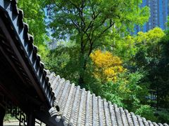 -大妙火锅·非物质文化遗产(东湖公园店)