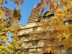 -北京石刻艺术博物馆(五塔寺)