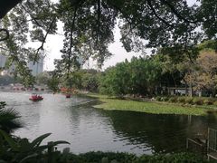-荔湾湖公园