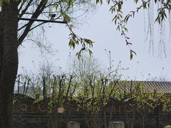 -春风习习