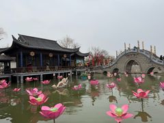 -中国翰园碑林