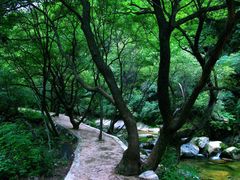 -少华山国家森林公园