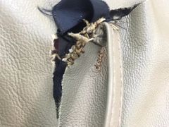 -爱革·洗衣改衣·洗鞋修鞋·洗包修包·奢侈品护理(宝地广场店)