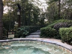 -天目湖涵田半山温泉