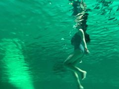 -重庆市奥林匹克体育中心-游泳跳水馆