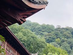-韬光茶庵