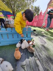 -萌宠亲子动物乐园(槐房万达店)