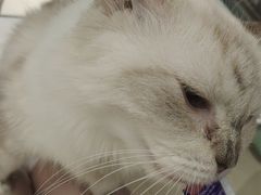 -怪兽屋·羊驼·猫咖·狗咖(俊华广场店)