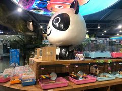 -龟与熊猫宠物公园(南坪店)