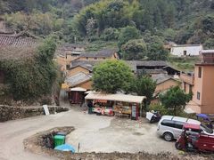 -杨家堂村