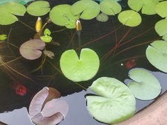 -瓯菜排档·温州海鲜(玕南店)