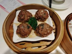 陈皮香茜牛肉丸-虾饺妹·酒家(金碧店)