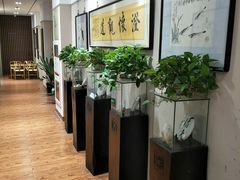 -秦汉胡同国学书院(川沙分馆)