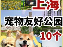 -上海山野camping·户外天幕烧烤·团建拓展营地