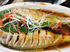 -四海蒸鲜蒸汽海鲜自助(北戴河店)