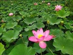 -常州奔牛国际机场