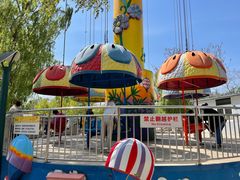 -朝阳公园游乐园