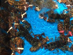 海鲜区-盒马鲜生(岭南新世界店)