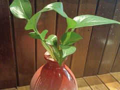 -里岛烤鱼(东港凯虹广场店)