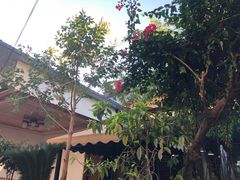 -双廊杨记石锅鱼石锅牛肉