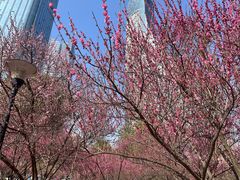 -安徽广播电视台