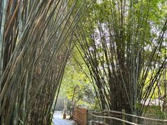 -开平碉楼文化旅游区马降龙景区